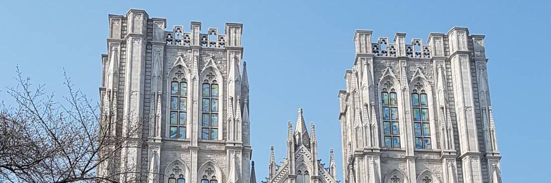 CN.Taro🦉🦉 banner