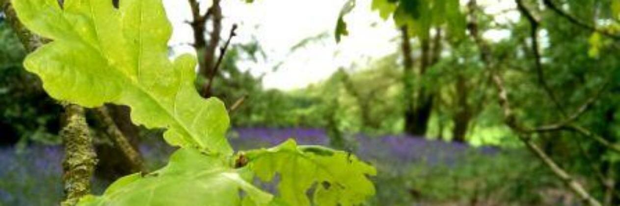 A M Lane Limited banner