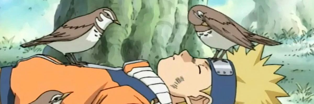 bibEL🐥 cms open! banner