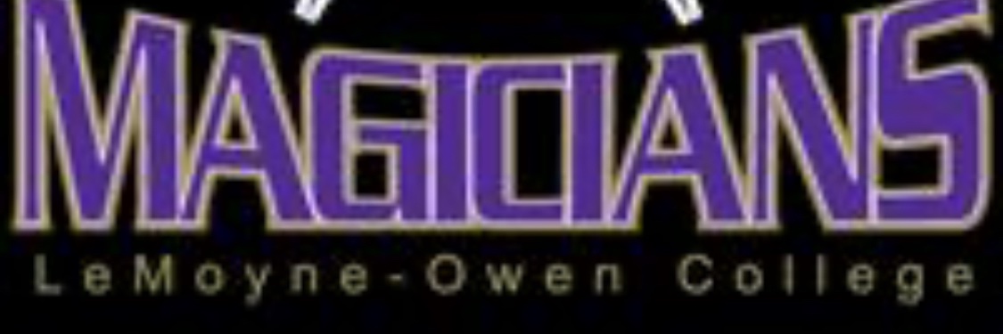 LOC-Mens Basketball banner