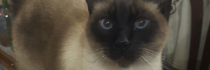 gabytok's profile banner image