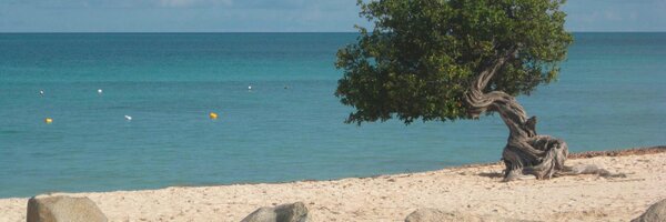 kmason Profile Banner