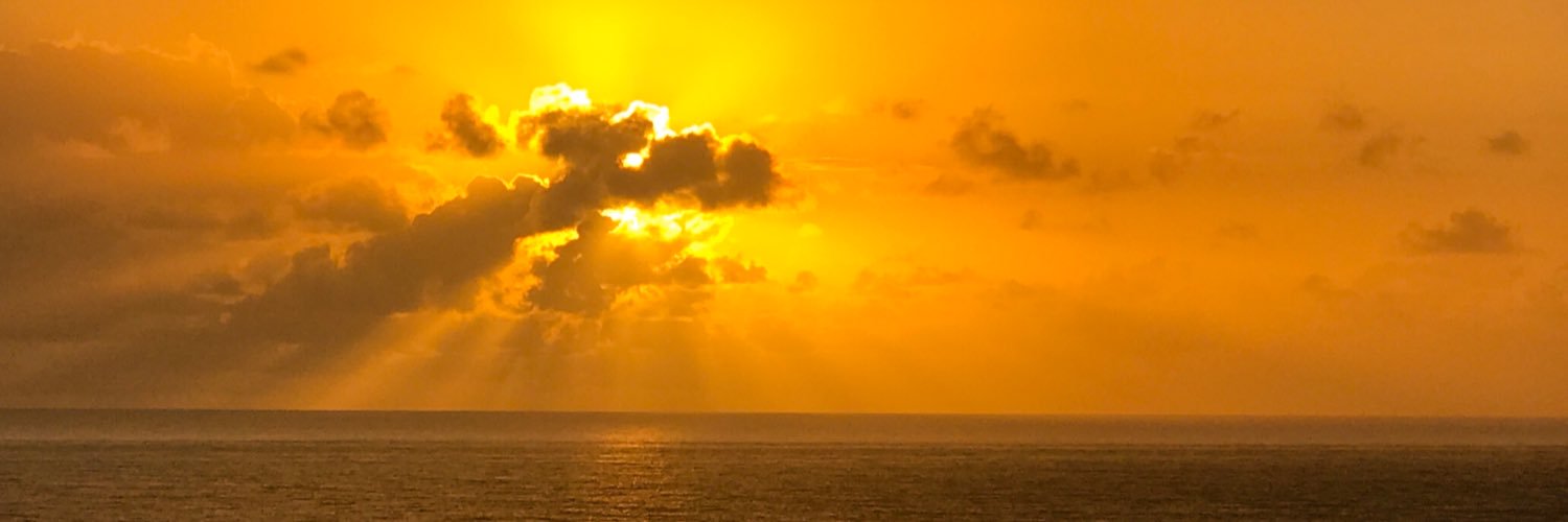 JohnReinhardt's profile banner image