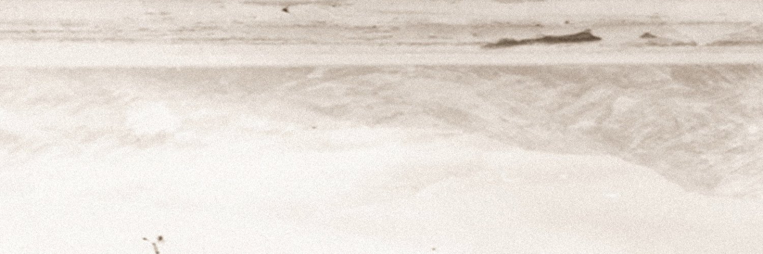 Amphior 🇩🇰 banner