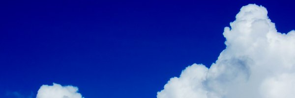 TheSquishyVicky Profile Banner