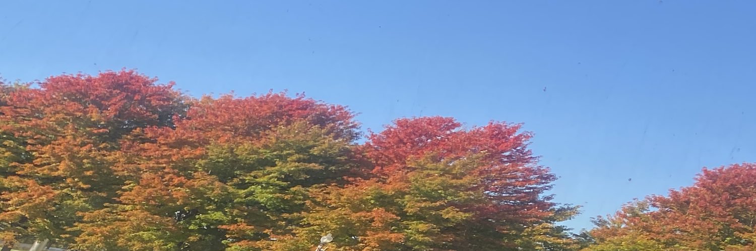 jimessuarez's profile banner image