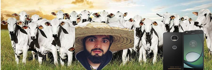 lekexx's profile banner image