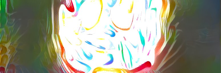 mai tran an banner