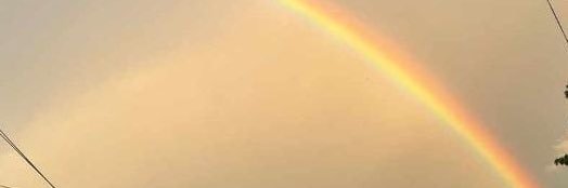 Andrea Molina banner