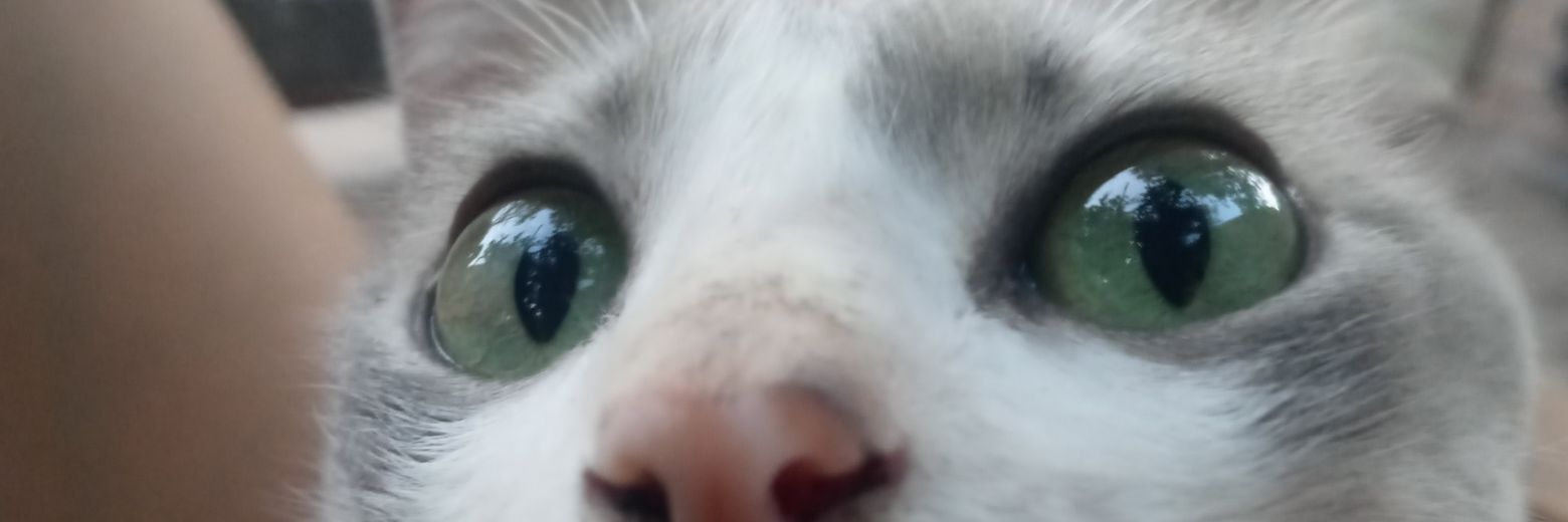 sooruizdiaz's profile banner image