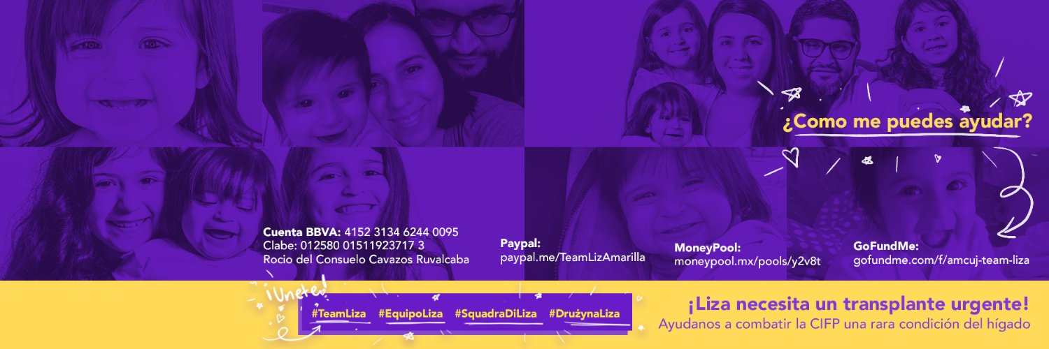 TeamLizAmarilla's profile banner image