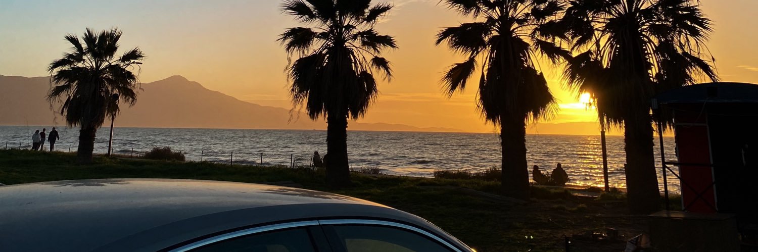 ⋆｡˚⋆❀ banner