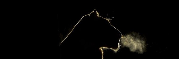 MrsPretorius2 Profile Banner
