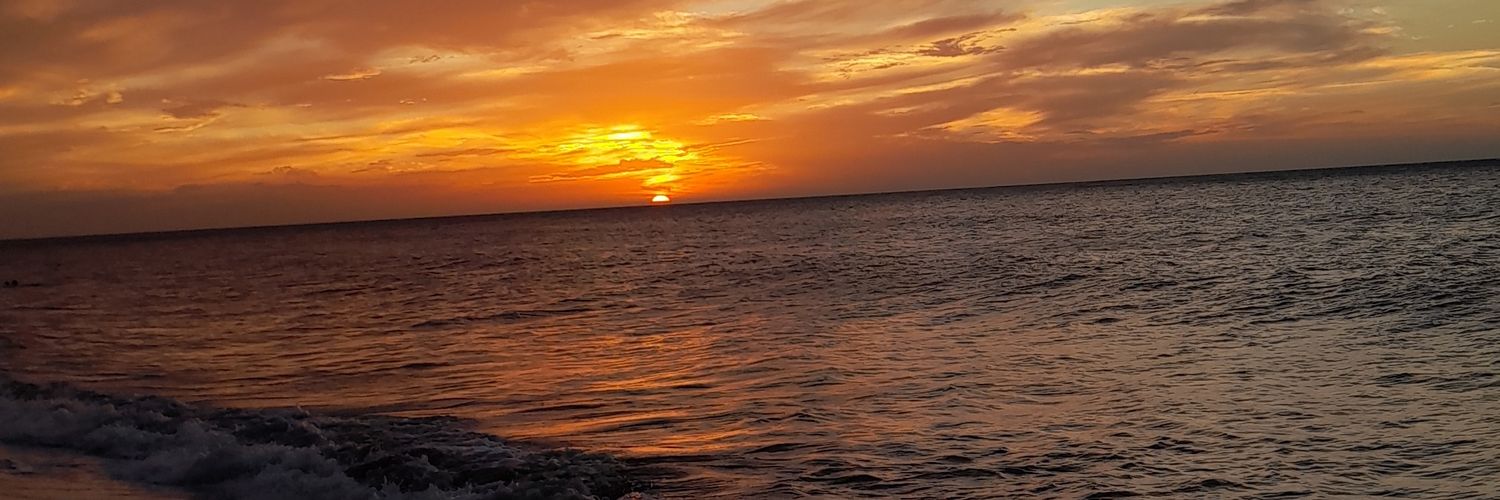 laup243's profile banner image