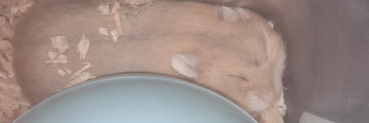 ann wants to sleep🍓 banner