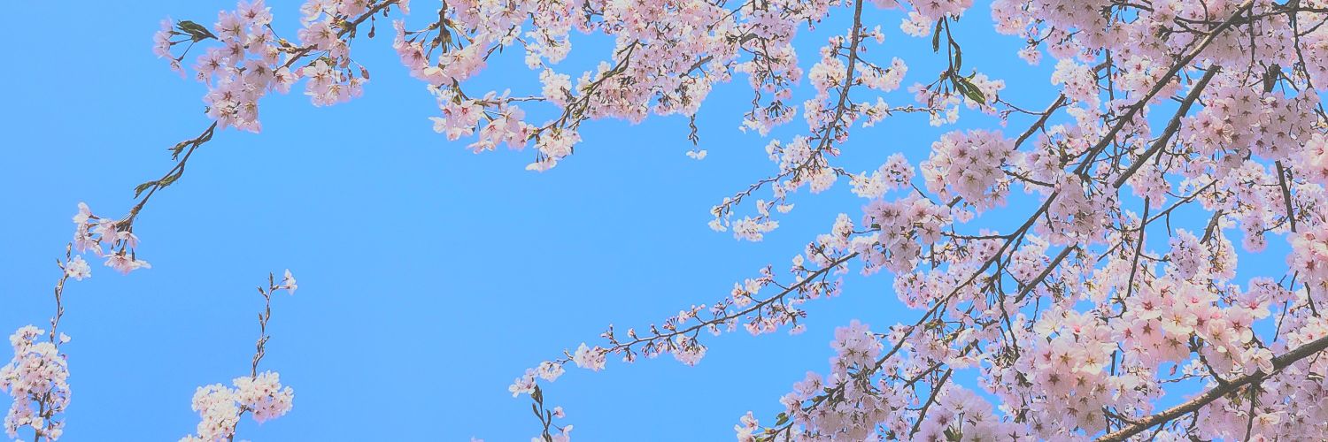 yeon2du's profile banner image