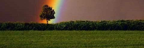 يارب رضاك والجنه banner