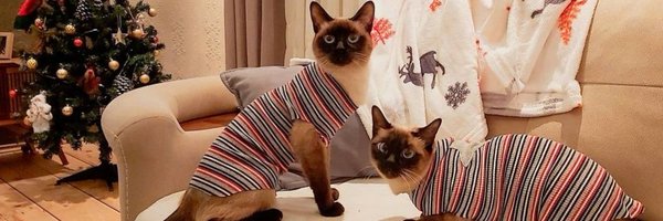 MiatesNFT Profile Banner