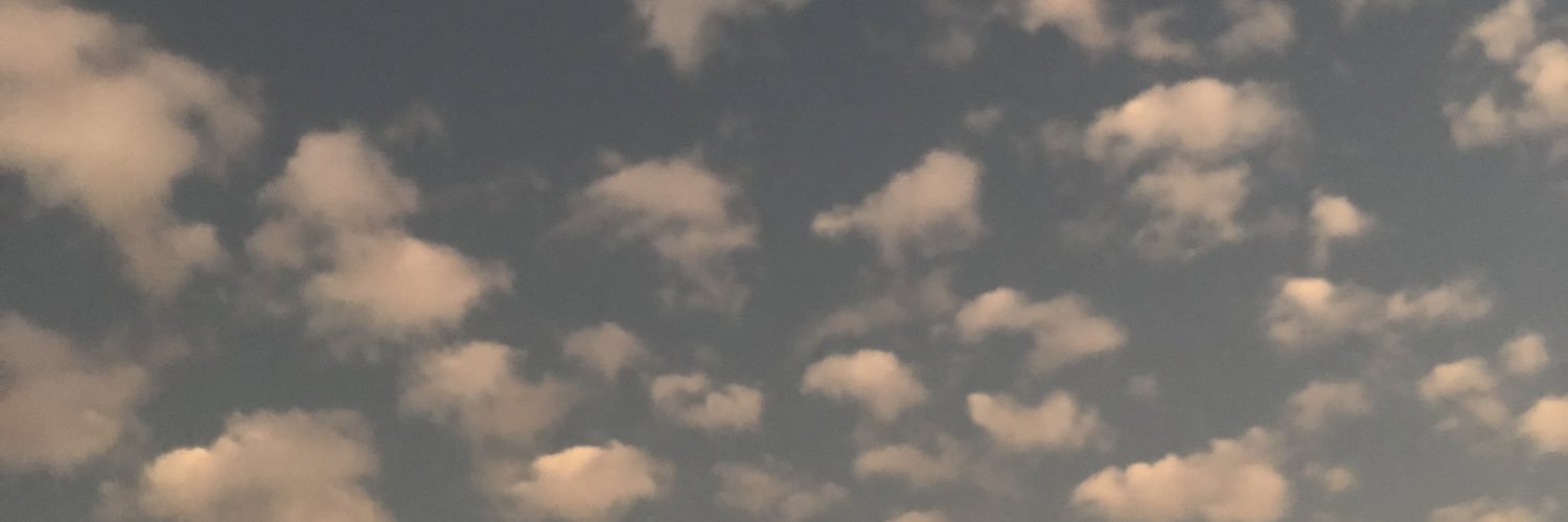 roangri's profile banner image