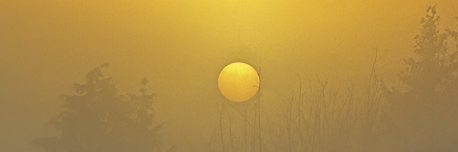 shobith's profile banner image