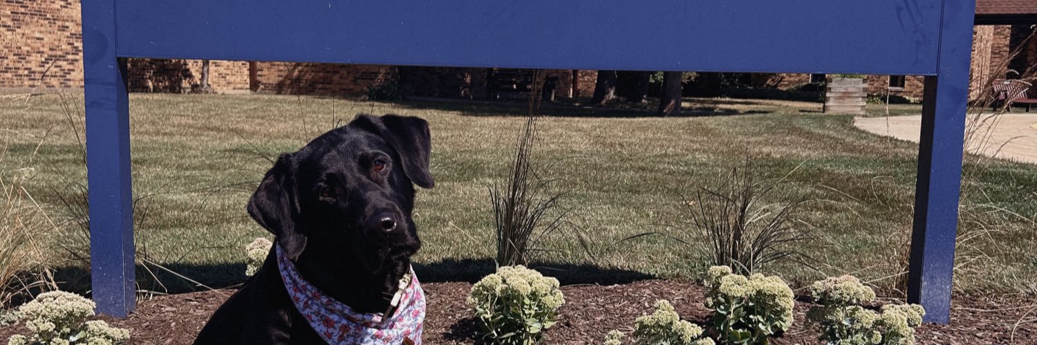 Kendall Huemann, MSW, LSW banner