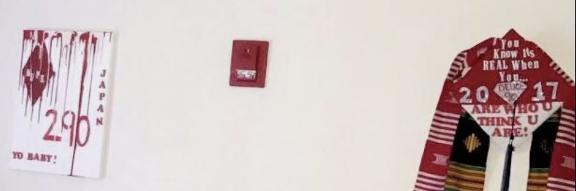 Papa290 🐬🍼 banner