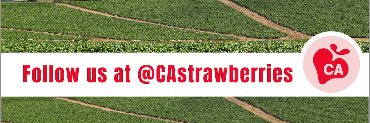 California Strawberry Commission banner