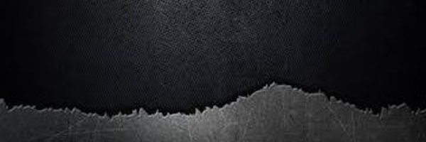 Sparking66 Profile Banner