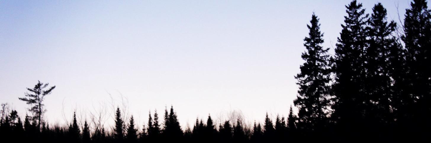 jaymcneil's profile banner image
