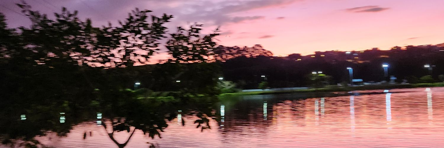 eulivi_az's profile banner image