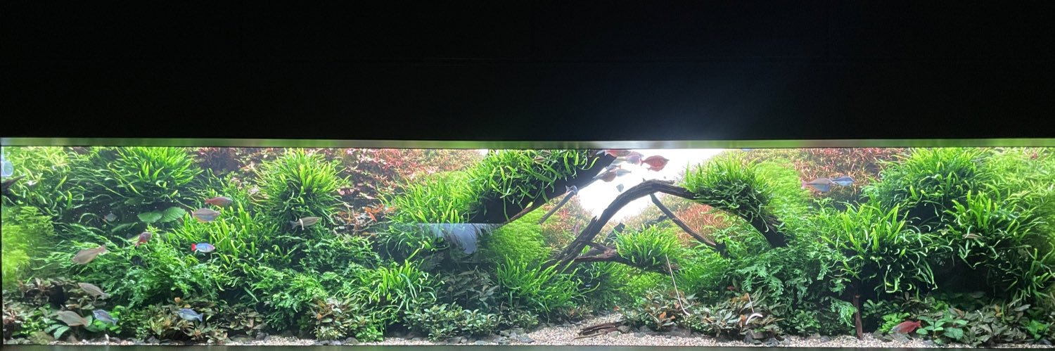 gr_connect_'s profile banner image