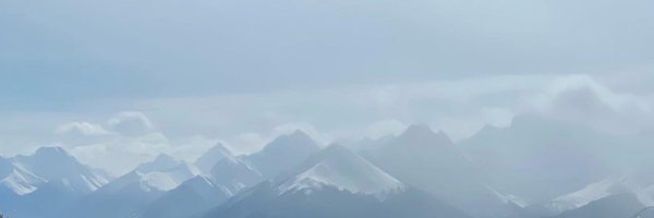 _grace_lily Profile Banner
