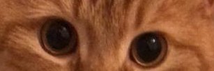 buNFT8's profile banner image