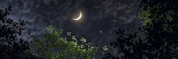 mon_b52's profile banner image
