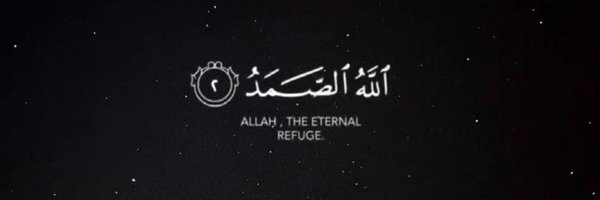 Picaro_11 Profile Banner