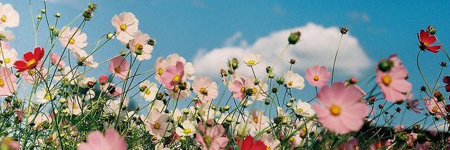 fvlua's profile banner image