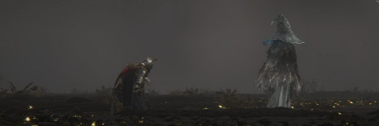 Ranni's Beloved.🔞 banner