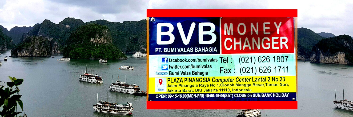 bumivalas's profile banner image