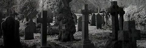 ninsuby's profile banner image