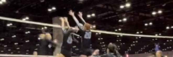 molly_mullerr's profile banner image