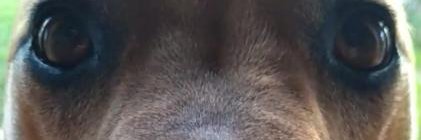 turco42's profile banner image
