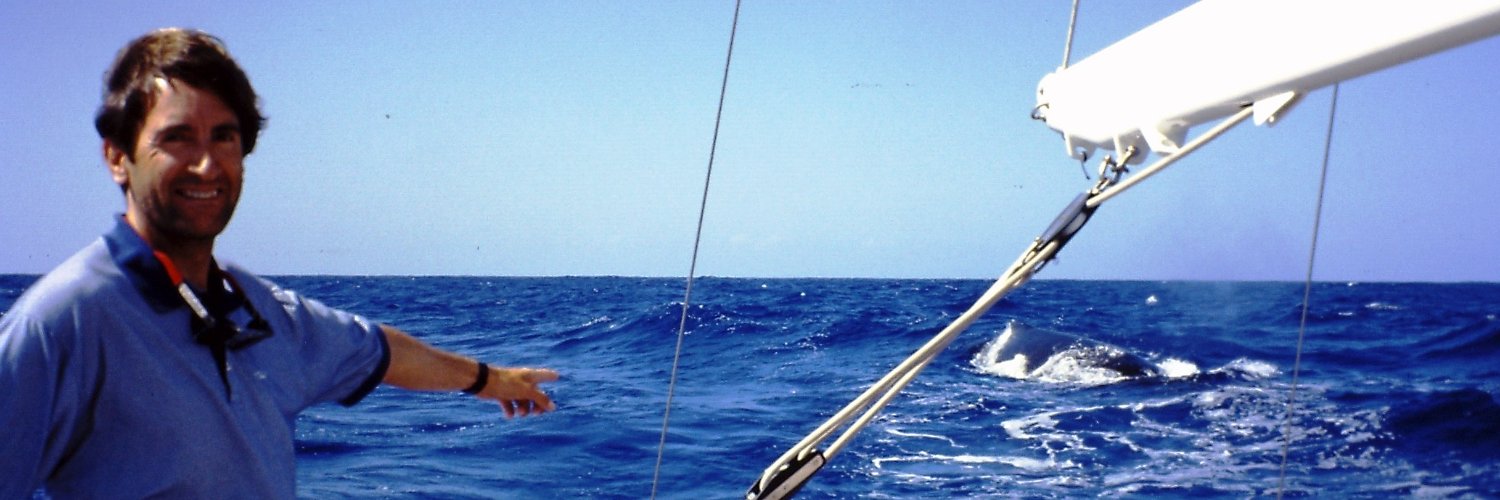 Alfonso Hernández banner