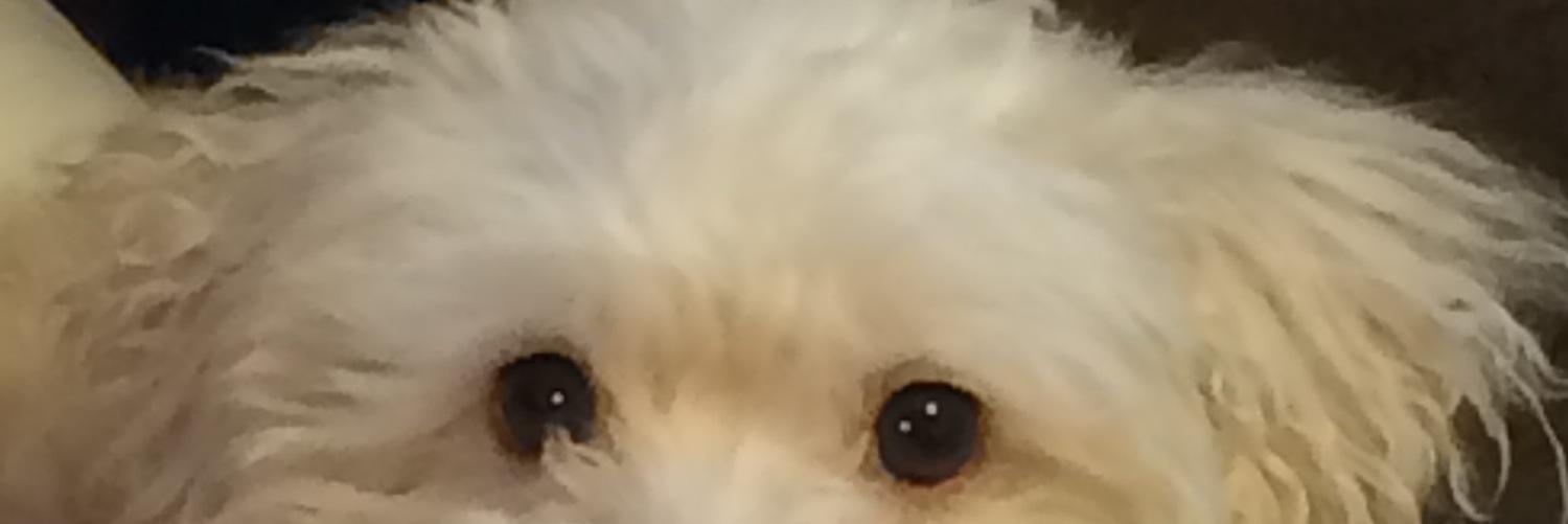 tyupyon0217's profile banner image