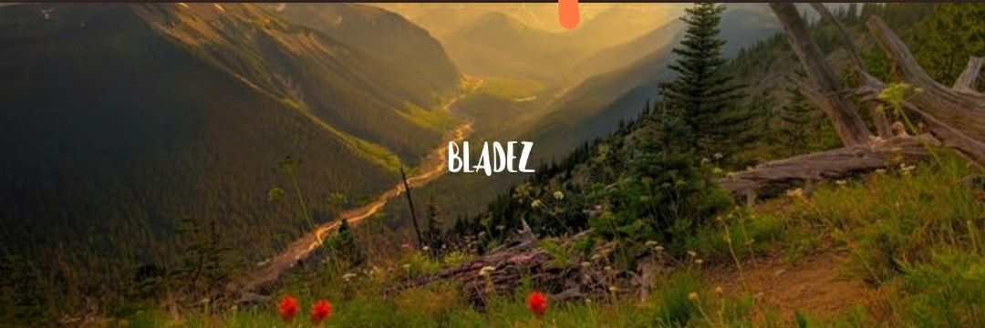 βλαδεζ banner