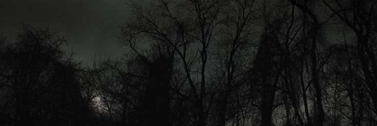 kochammartynee's profile banner image