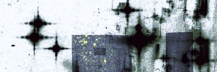 ienejke's profile banner image