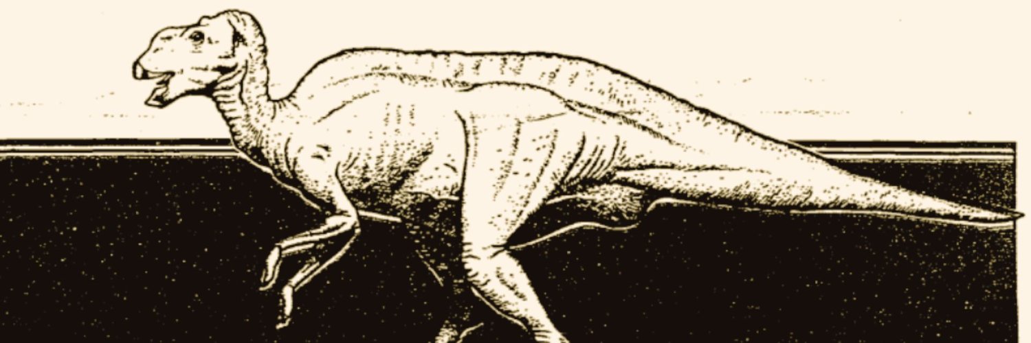S.P. Sullivan's banner