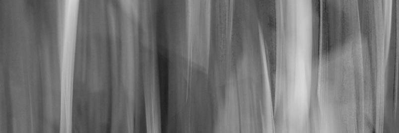 socum's profile banner image