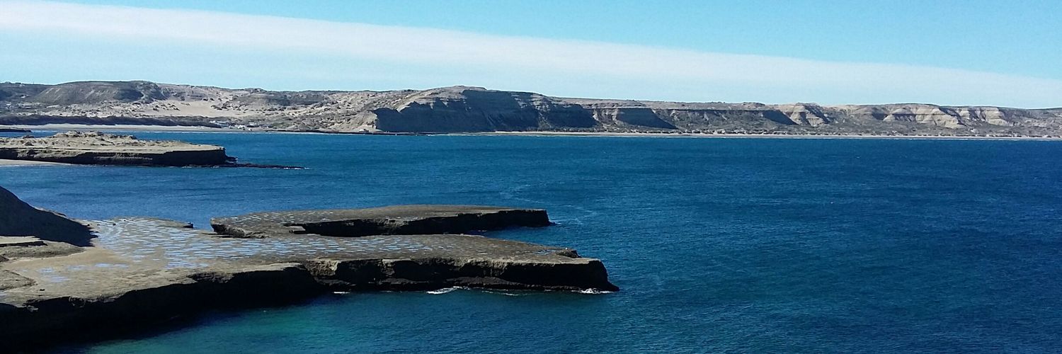 Ariel Castiglione banner