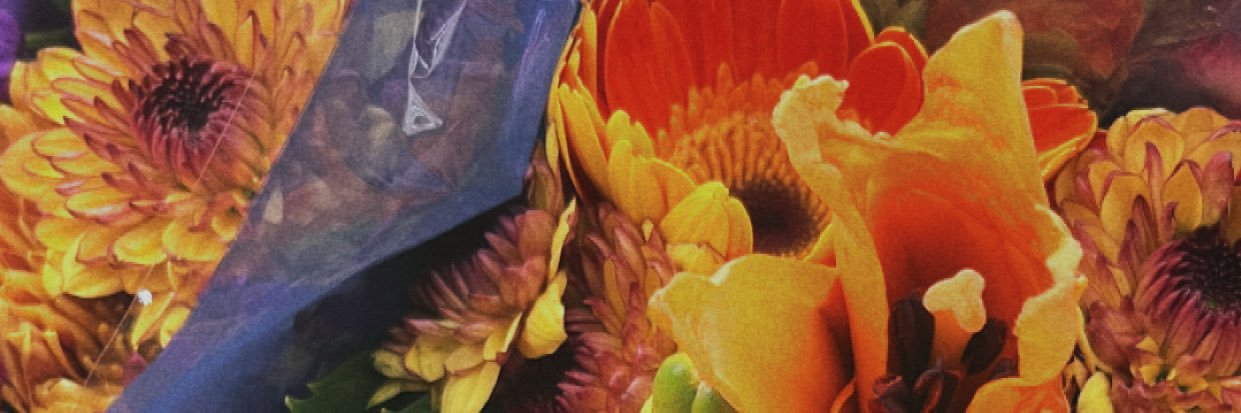 bri_graci's profile banner image